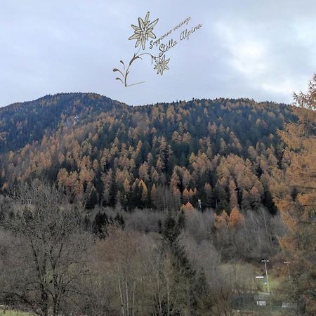 Soggiorno Vacanze Stella Alpina Temù Buitenkant foto