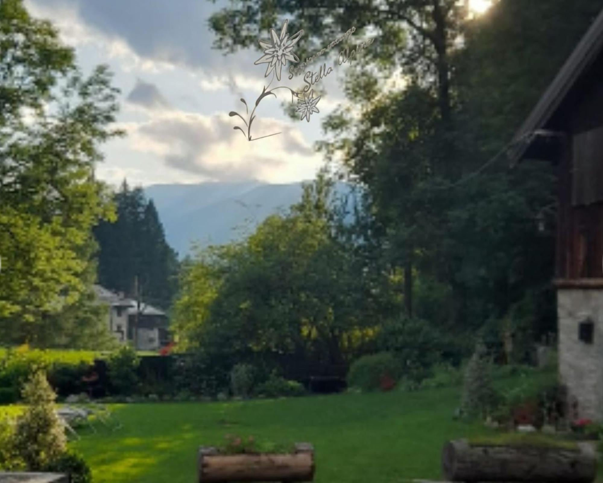 Soggiorno Vacanze Stella Alpina Temù Kamer foto